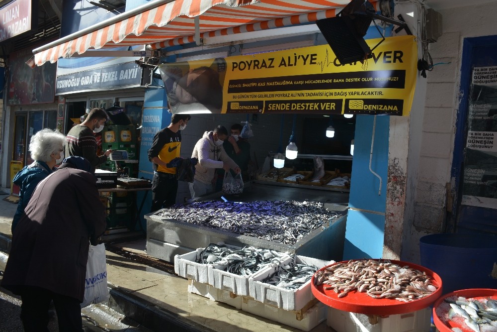 Sinoplu balıkçıdan Poyraz Ali’ye destek: Bedava hamsi dağıttılar