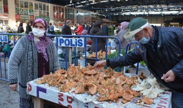 Sinop’ta kanlıca pazara indi