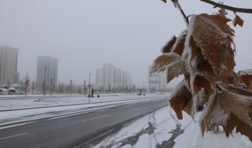 Sivas’ta yoğun kırağı