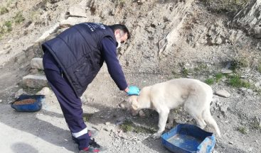 Sokağa çıkma yasağında da can dostlar unutulmadı