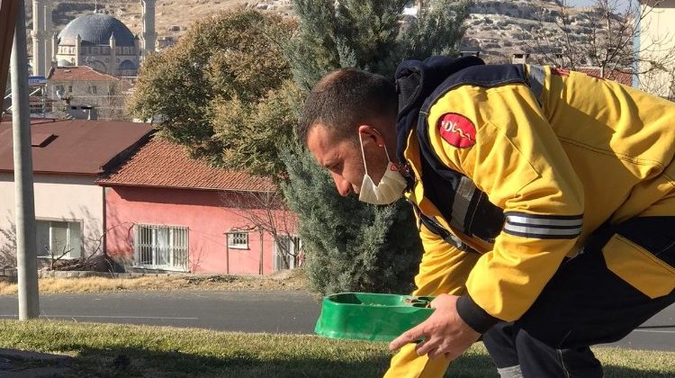 Sokağa çıkma yasağında sokak hayvanları unutulmadı