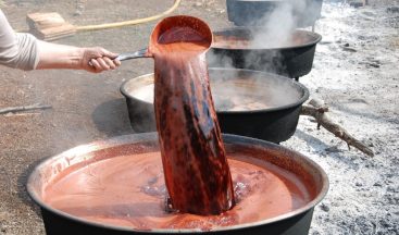 Toroslardan toplanıyor sadece pekmez olarak tüketiliyor