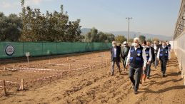 Türkiye’de İlk Kez Buğdayın Kromozomu Tespit Edildi