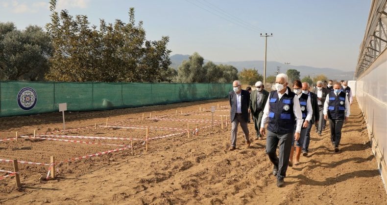 Türkiye’de İlk Kez Buğdayın Kromozomu Tespit Edildi