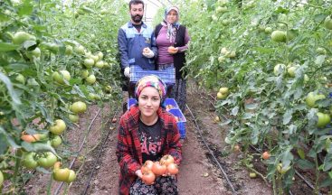 Türkiye’nin sebze meyve deposu Antalya’da kısıtlama sebze meyve üretimine engel olmadı