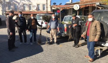 Ürgüp Ziraat Odası üreticilere 2021 adet ayva fidanı dağıttı