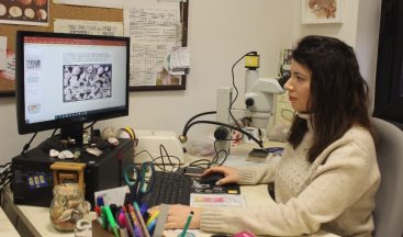 Uzmanlar: “Küresel ısınma iyi bir şeydir”