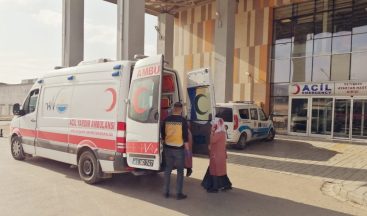 Van Büyükşehir Belediyesinden hasta nakil mesaisi