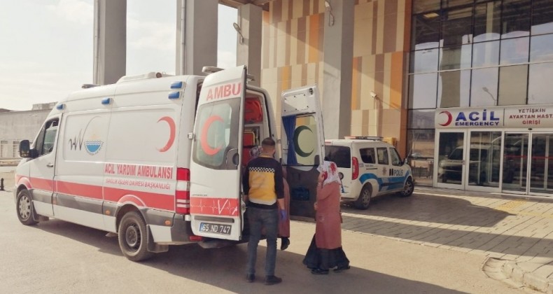 Van Büyükşehir Belediyesinden hasta nakil mesaisi