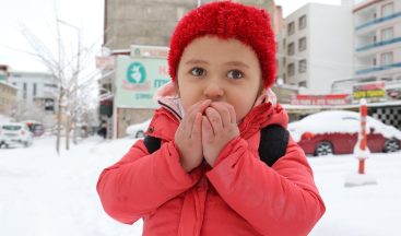 Van’da 3 aylık kar esareti başladı