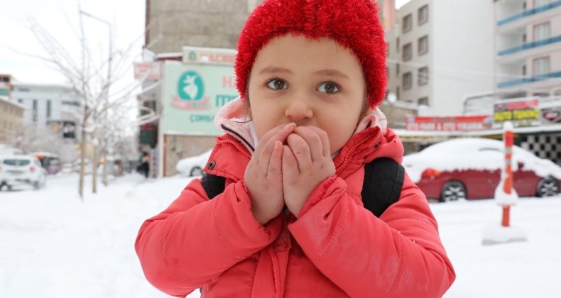 Van’da 3 aylık kar esareti başladı