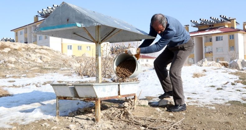 Van’da kısıtlama öncesi sokak hayvanları unutulmadı