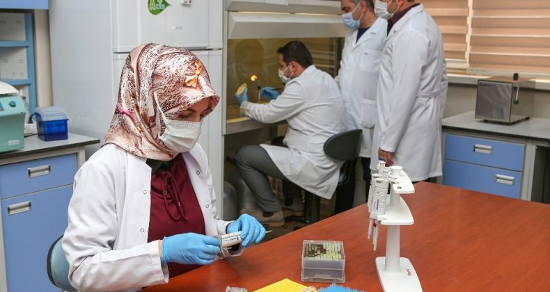 Yeni bakteri cinsi ve türü keşfedildi