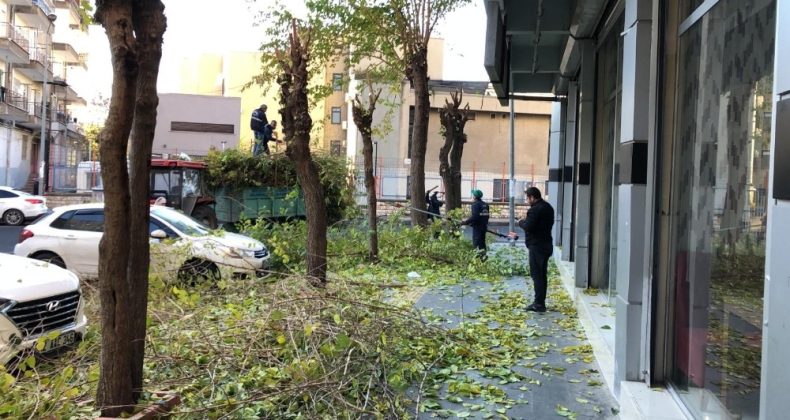 Yenişehir Belediyesi kısıtlamada da hizmetlerini sürdürdü