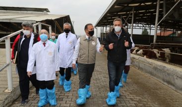 Yenişehirli firmaya hastalıklardan ârî işletme belgesi