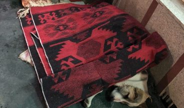 Yüksekova’da yürekleri ısıtan görüntü