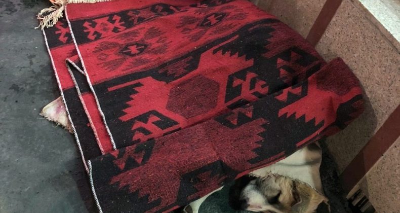 Yüksekova’da yürekleri ısıtan görüntü