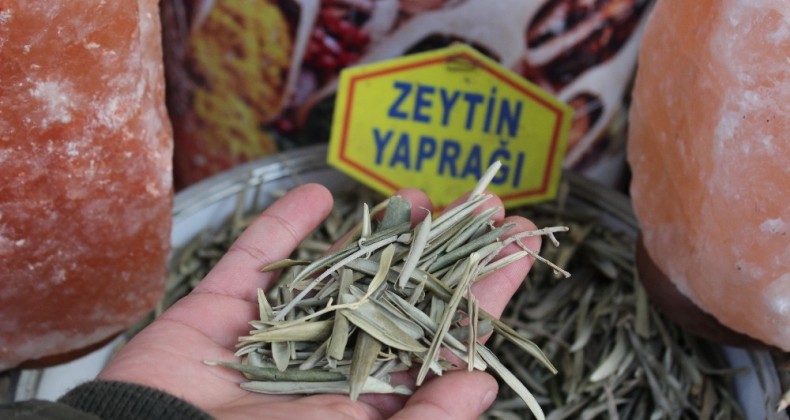 Zeytin yaprağı ve kekik bağışıklık sistemini güçlendiriyor