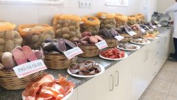 10 renkte cipslik yerli patates üretildi