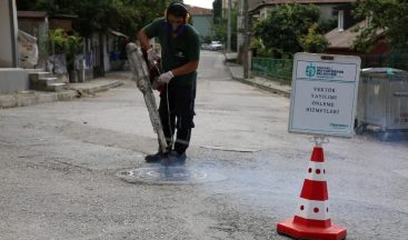 2020’de hem vektör, hem de salgınla mücadele edildi