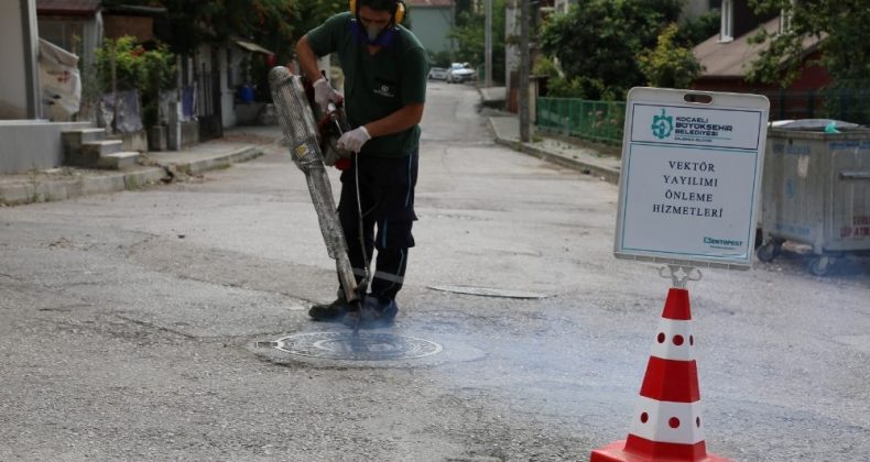 2020’de hem vektör, hem de salgınla mücadele edildi