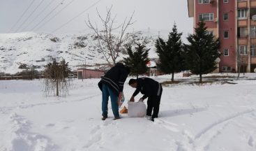 Adilcevaz Belediyesi doğaya yiyecek bıraktı