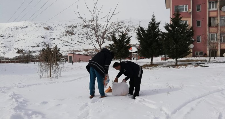 Adilcevaz Belediyesi doğaya yiyecek bıraktı