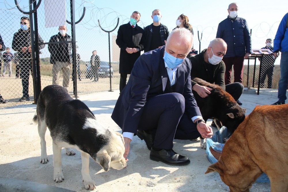 Akdeniz Belediyesi, Adanalıoğlu’nda sokak hayvanları için korunaklı alan yaptı