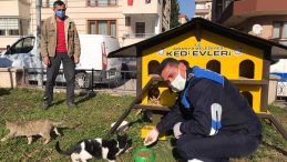 Amasya Belediyesi sokak hayvanları ve kuşlar için mama ile yem dağıttı