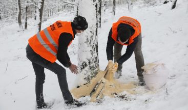 Atakum’dan 42 farklı noktada kuşlara yem