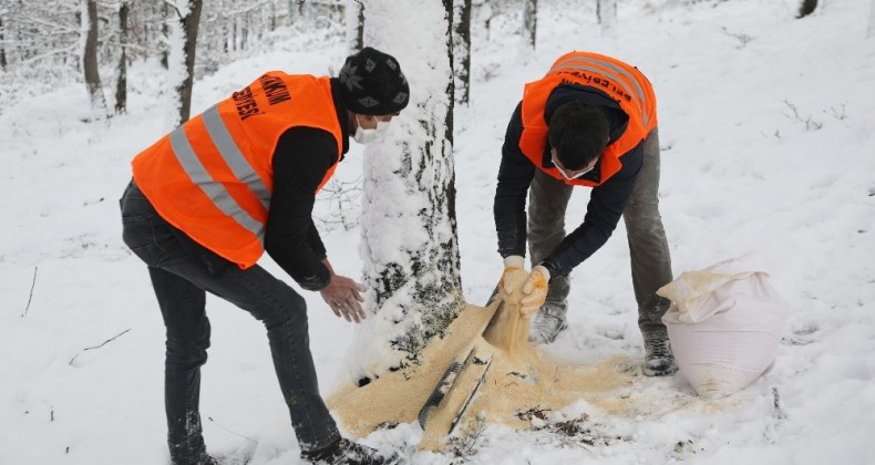 Atakum’dan 42 farklı noktada kuşlara yem