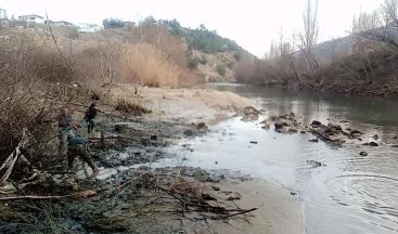 Balıkları kurtarmak için seferber oldular