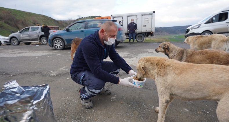 Başakşehir’de can dostlarına sıcak yardım eli uzandı