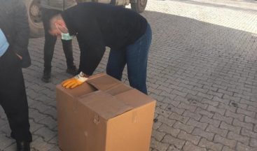 Başkale Belediyesi yaralı yavru köpeğe sahip çıktı