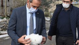 Başkan Bozdoğan, dolu yağışının etkilediği bölgede incelemelerde bulundu