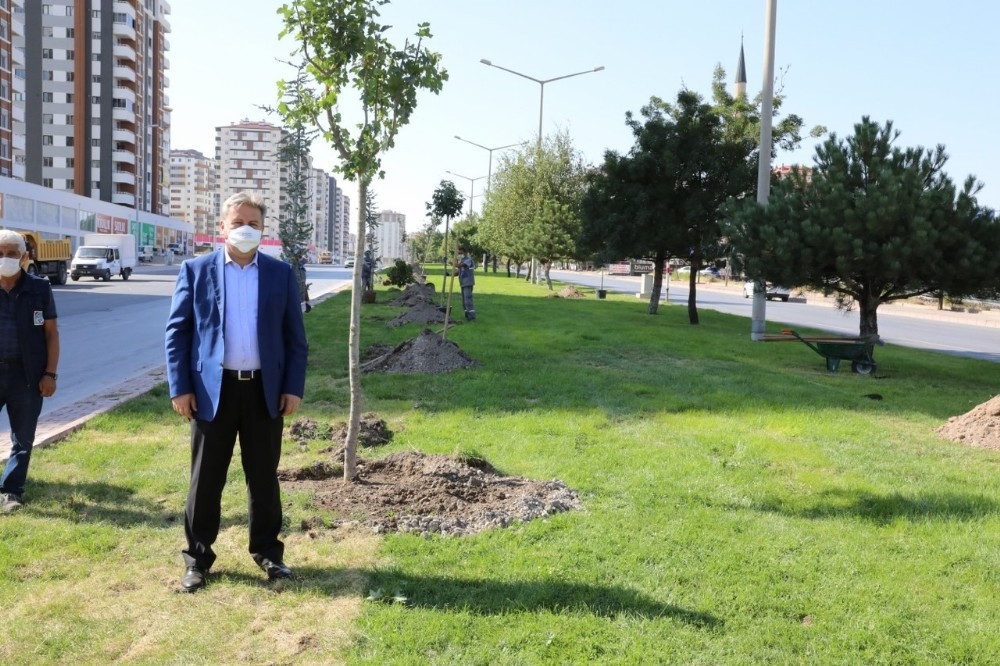 Başkan Mustafa Palancıoğlu: “Daha yeşil bir Melikgazi için fidan değil ağaç diktik”