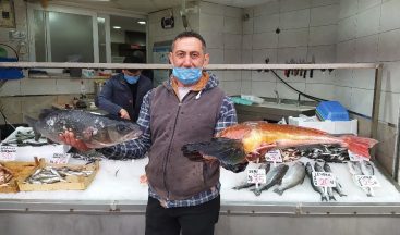 Batı Karadeniz’in incisi Akçakoca’da balık bereketi