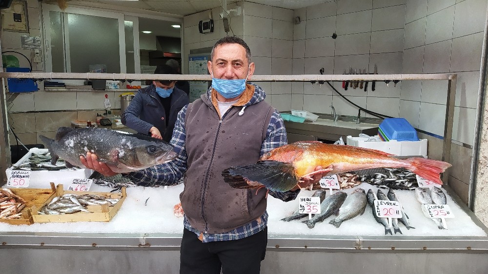 Batı Karadeniz’in incisi Akçakoca’da balık bereketi