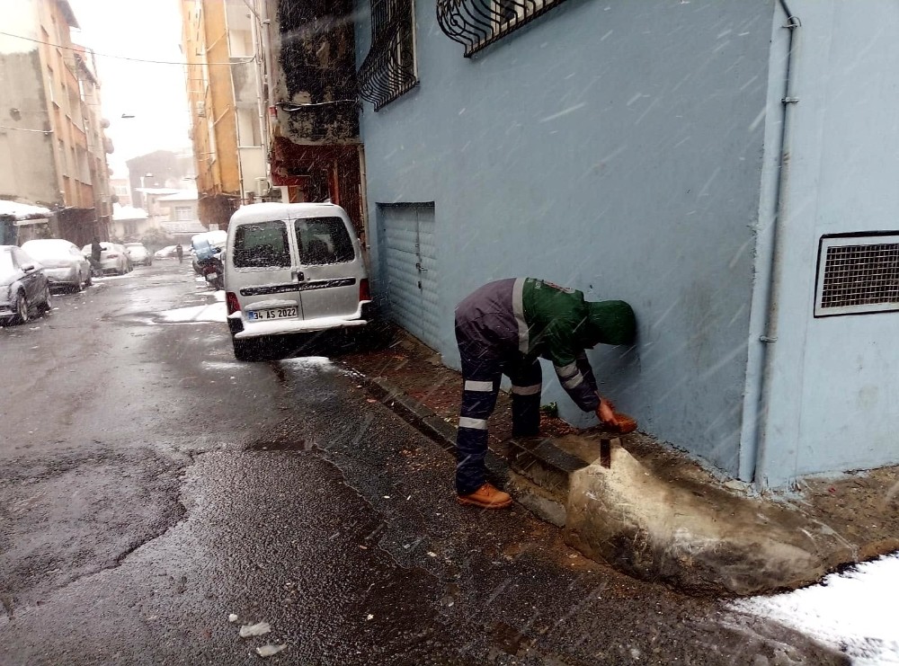 Beyoğlu’nda kar yağısından etkilenen sokak hayvanları unutulmadı