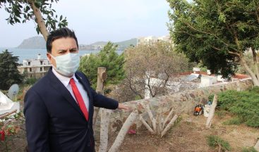 Bodrum’da şehit pilot anısına dikilen ağaçları kestiler