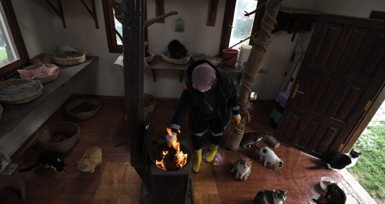 Bursa’da havalar soğudu, kediler villalarına çekildi