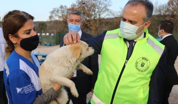 Bursa’nın emekli hayvanlar çiftliği