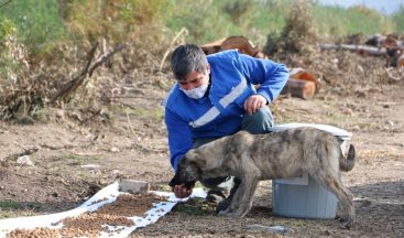 Büyükşehir can dostları unutmadı