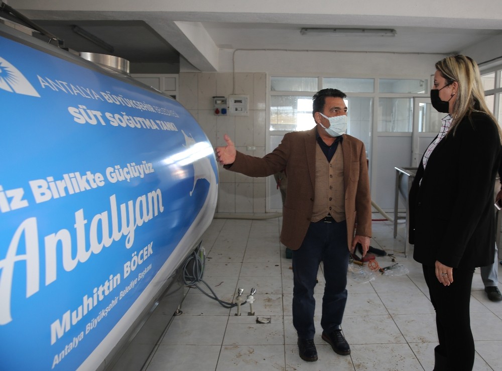 Büyükşehir Manavgat’ta  süt üreticilerine süt tankı desteği verdi