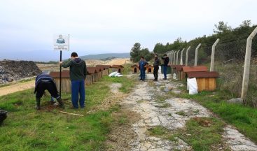 Muğla’dan sokak hayvanlarına sıcak yuva