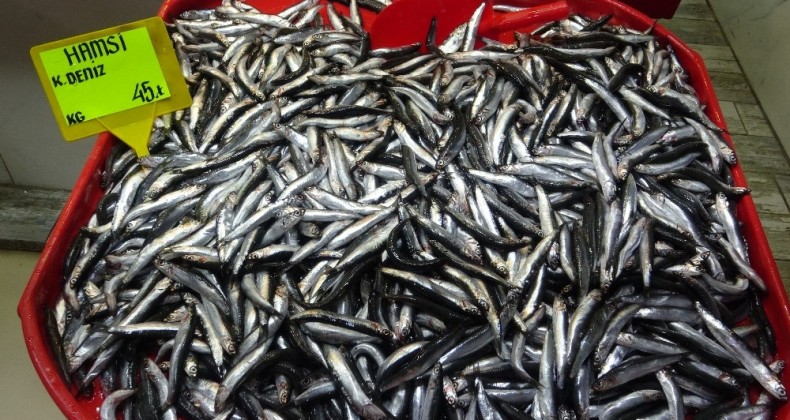 Çanakkale’de hamsi fiyatları 45 lira oldu