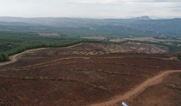Denizli’de endüstriyel plantasyon sahası hazırlığı başladı