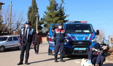 Denizli’de jandarma ekipleri 4 günlük kısıtlamada sokak hayvanlarını unutmadı