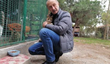 Didim Belediyesi’nden besleme çalışması