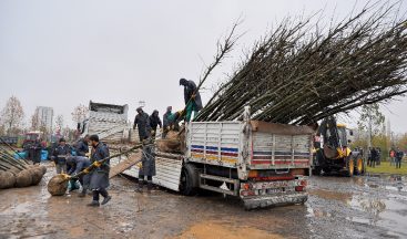 Diyarbakır Büyükşehir Belediyesi 220 günde 5 bin ağaç dikti
